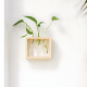 Glass Planter With Wooden Base